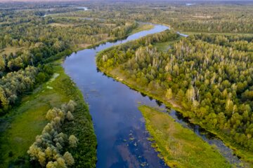 Чорнобильський заповідник. Фото: скріншот YouTube-відео