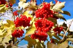 Погода в Украине. Фото: скриншот Youtube-видео