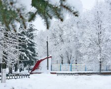 Погода, зима, сніг. Фото: Стіна