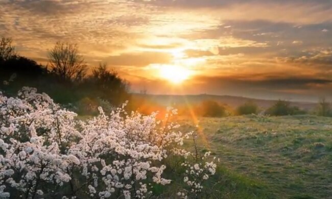 Погода на 3 июня 2020 года