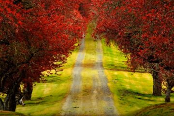 Погода 23 октября 2020 года