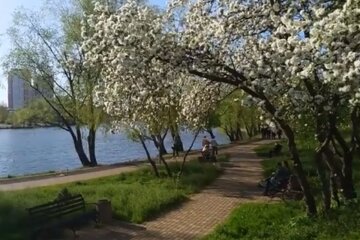 Весна у Києві. Фото: скріншот YouTube-відео