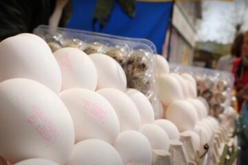 Яйца. Фото: YouTube, скрин