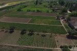 Рынок земли. Фото: скриншот Youtube-видео
