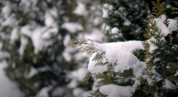 Сніг. Фото: YouTube, скрін