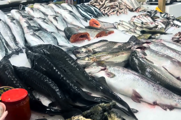 Украинцев предупредили касательно рыбы и морепродуктов. Фото: YouTube