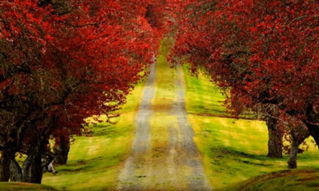 Погода 23 октября 2020 года