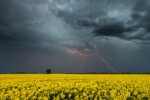 Погода в Україні, весна, спека, грози, дощі. Фото: ілюстративне з мережі