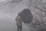 Погода. Фото: скриншот YouTube-видео