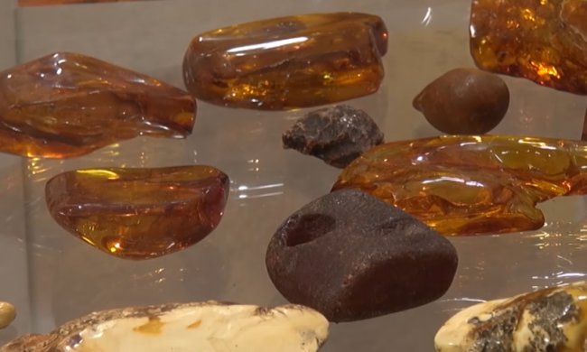 Ответственность за незаконную добычу янтаря ужесточили