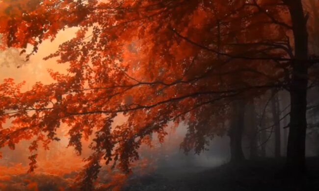 Погода на 3 ноября 2019 года