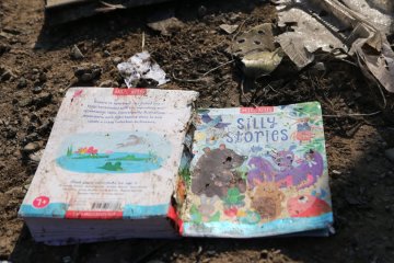 Крушение борта МАУ. Фото: скриншот видеозаписи