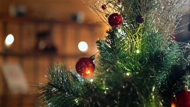 Новогодняя елка. Фото: Youtube