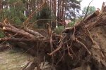 Черновицкая область, ураган