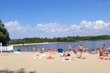 В водах Днепра поселились морские животные. Фото: скриншот YouTube