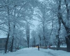 Україну засипало снігом. Фото: скрін YouTube