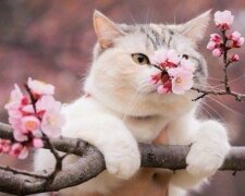 Погода, весна, потепління. Фото: Стіна