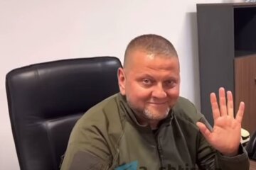 Валерий Залужный. Фото: скриншот YouTube-видео