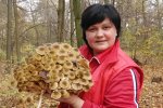 Последний шанс для грибников: украинцы мешками гребут "польские" и опята - грибные места