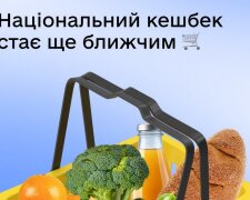 Зимова підтримка, 1000 від Зеленського. Фото: скріншот Дія