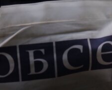 ОБСЕ. Фото: YouTube, скрин