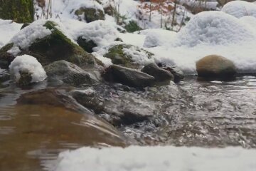 Оттепель в Украине.  Фото: скриншот YouTube-видео