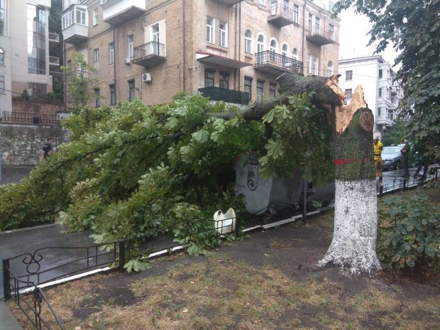 Шторм в Киеве: из-за ливней и грозы в пригороде погиб человек