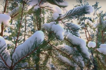 Зима. Фото: YouTube, скрін