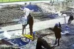 Нападение на женщину с ребенком, фото: Скриншот