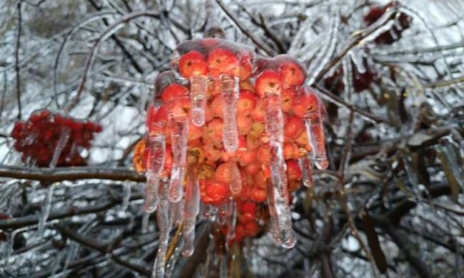 Спасатели предупредили об ухудшении погоды: "с 20 по 23 декабря…"