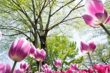 Погода порадует украинцев. Фото: youtube