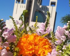 До +18: завтра останній по-справжньому весняний день перед похолоданням