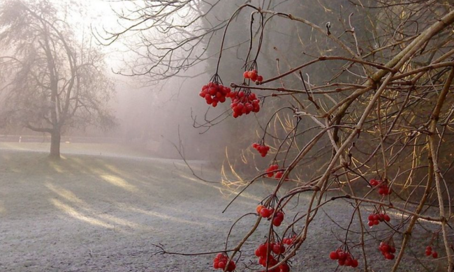 До мінус 5 і все у хмарах: синоптики попередили про погану погоду в неділю