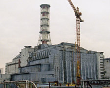 Осторожно! В Чернобыле собирают радиоактивную чернику и продают ее на рынках