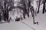 Природа. Фото: скриншот YouTube-видео