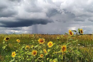 Грозові дощі. Фото: скріншот Instagram