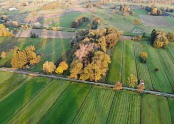 Пай, город, українці, допомога. Фото: Telegram