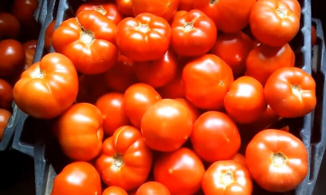 Помідори. Фото: YouTube