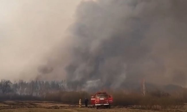 В Сети появились фото пожара в Чернобыльской зоне. Фото: скриншот YouTube