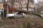 Последствия непогоды. Фото: скриншот YouTube-видео