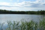 У бывалых рыбаков отвисли челюсти: вот это удача, поймана гигантская щука, размер впечатляет. Фото