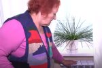 Отопление. Фото: скриншот YouTube-видео