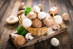 Грибы спасают от страческого слабоумия
