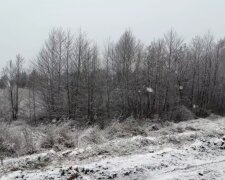 Від мінус 10 до +10: синоптик Діденко попередила про погодні коливання у вівторок 10 січня