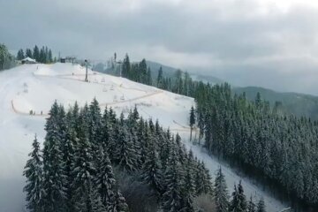 Природа зимой. Фото: скриншот YouTube-видео