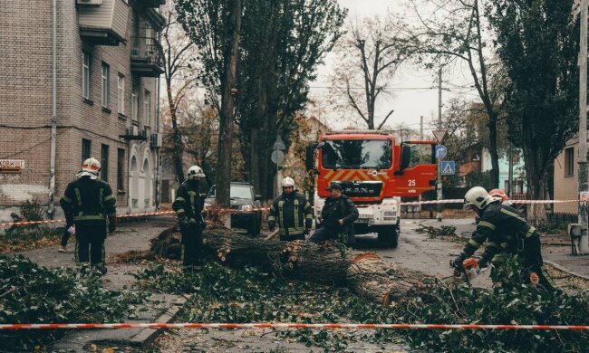 Наслідки негоди. Фото: ДСНС України
