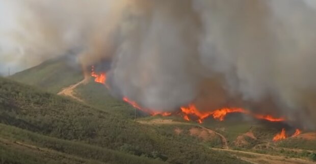 Страну охватили лесные пожары: люди в спешке покидают свои дома, спасатели не в силах сдержать пламя