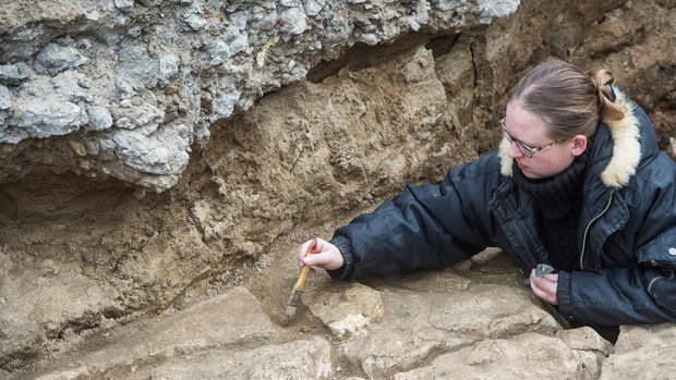 В Чернигове археологи откопали останки ребенка, который жил в Киевской Руси. Фото