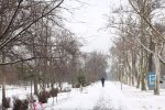 Погода в декабре: прогноз народного синоптика. Фото: скриншот YouTube-видео