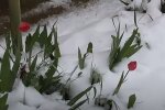 Сніг навесні. Фото: скріншот YouTube-відео